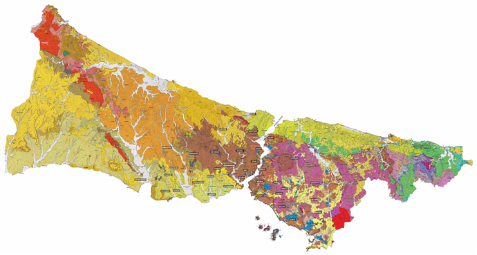 iste istanbul un deprem riski haritasi