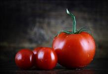 Bilim insanları uzayda yetişen domates üretti