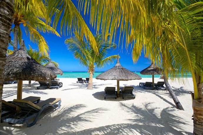 Tropikal Bir Rüya: Mauritius
